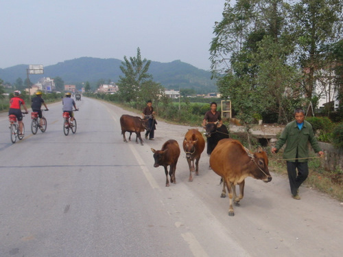 We're bicycle touring.